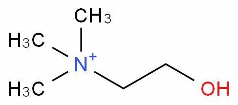 l 膽堿 cas 62 49 7 生產(chǎn)廠家 批發(fā)商 價格表